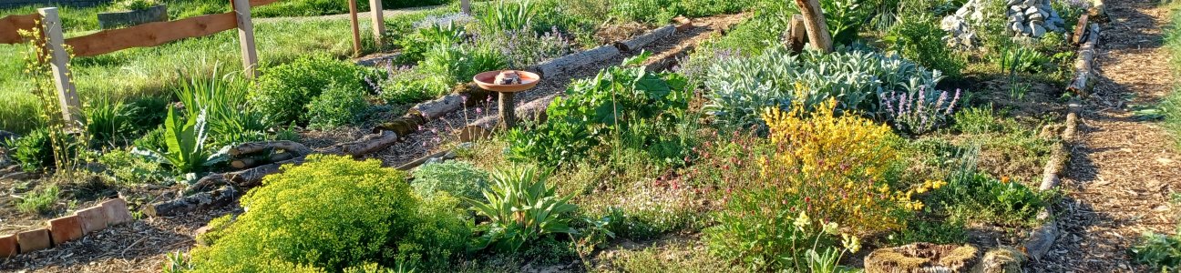 Bewerbung Gartenpreis Kaiser _3_