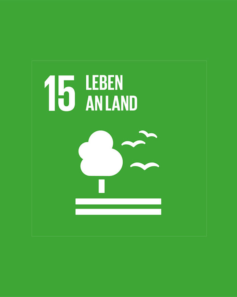 Sdg-icon-de-15 Angepasst
